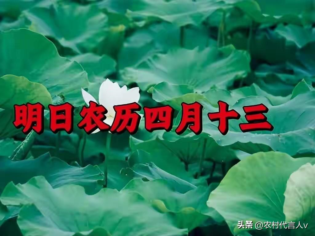 不是迷信！明日四月十三“三娘日”，最不能做的6件事，告诉家人
 
明天是农历四月