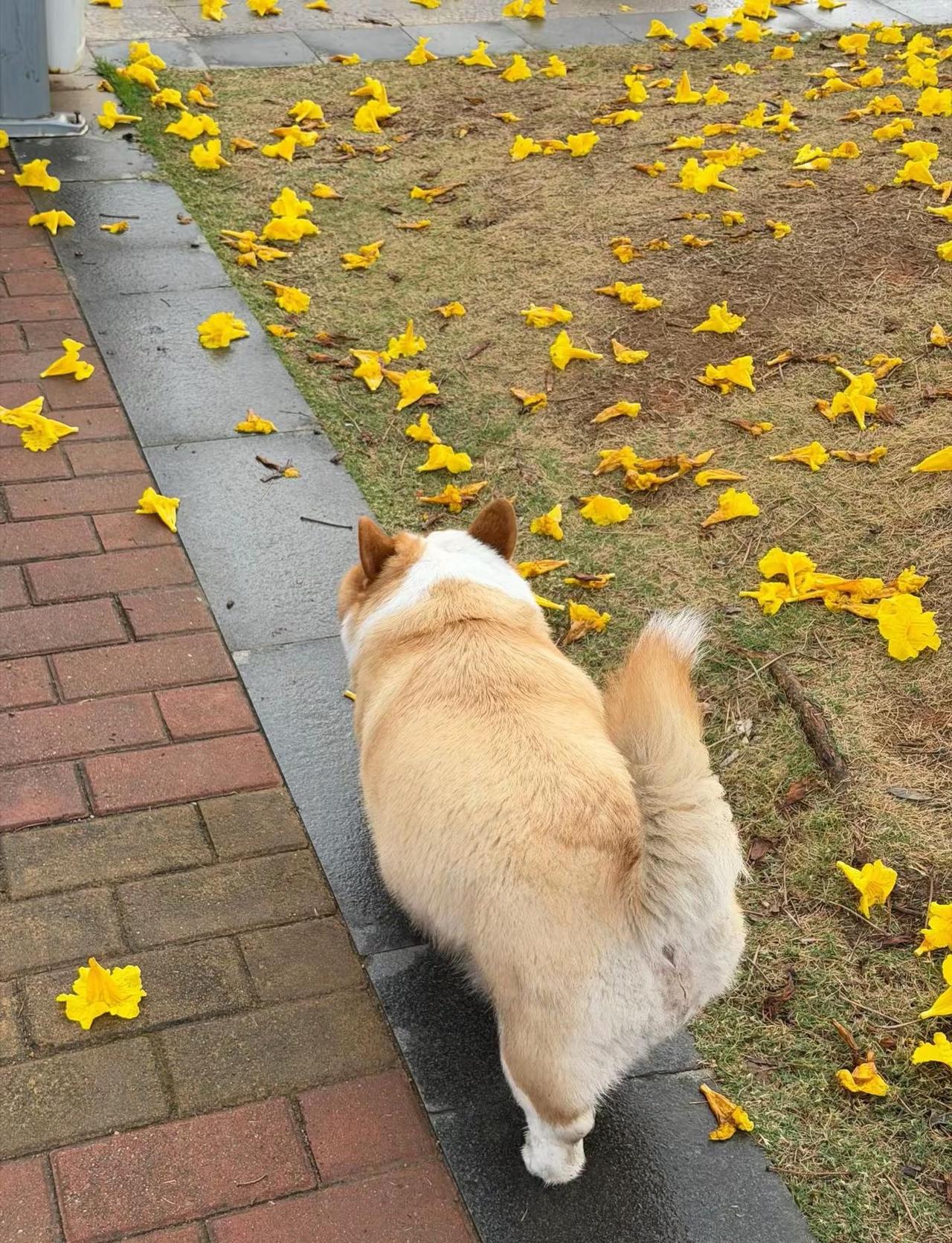 好雨知时节，迎来2026第一场雨，物简，人静，心安🍃