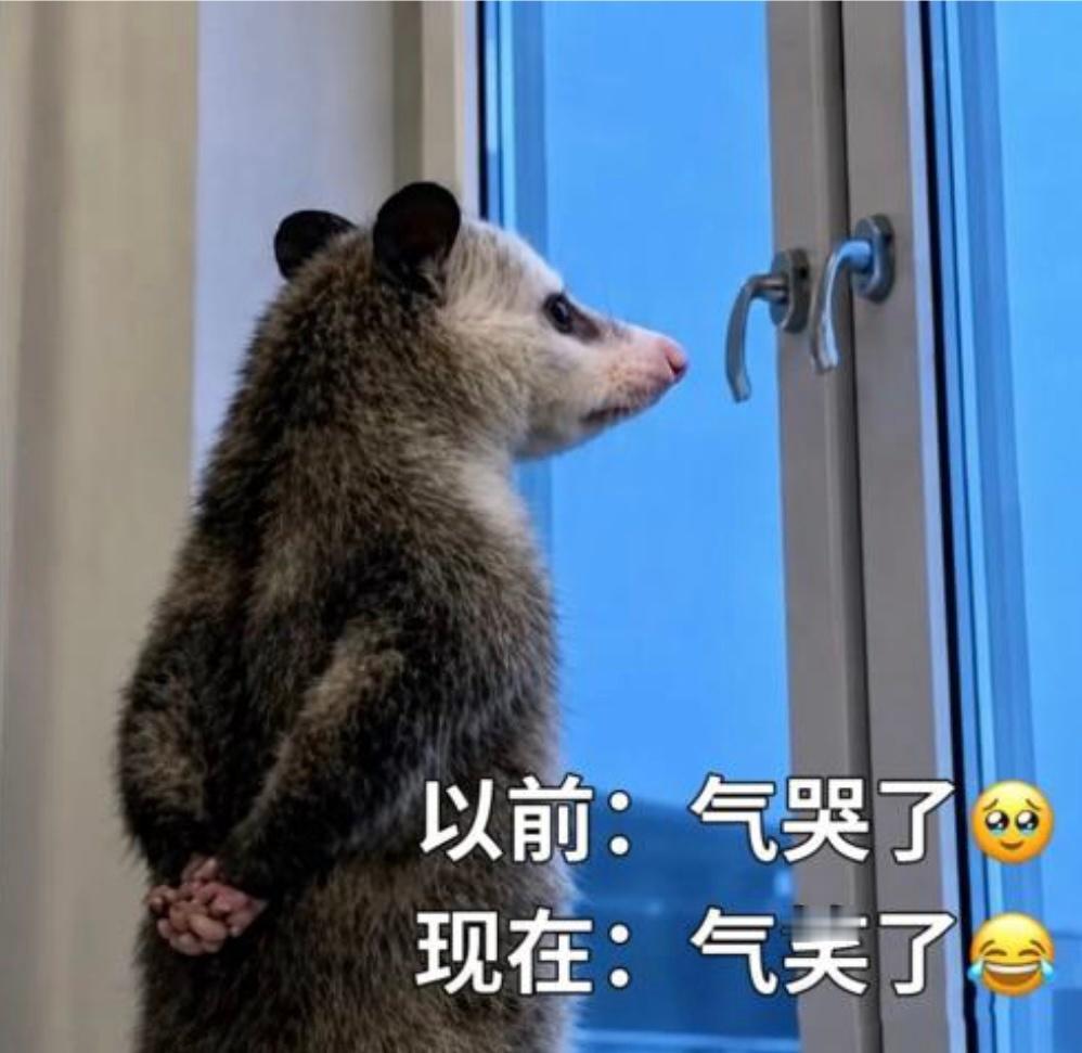 百花杀热度就不能给我们“杀宝”好的待遇吗不是某些粉丝口中的“保送剧”请问这是保送
