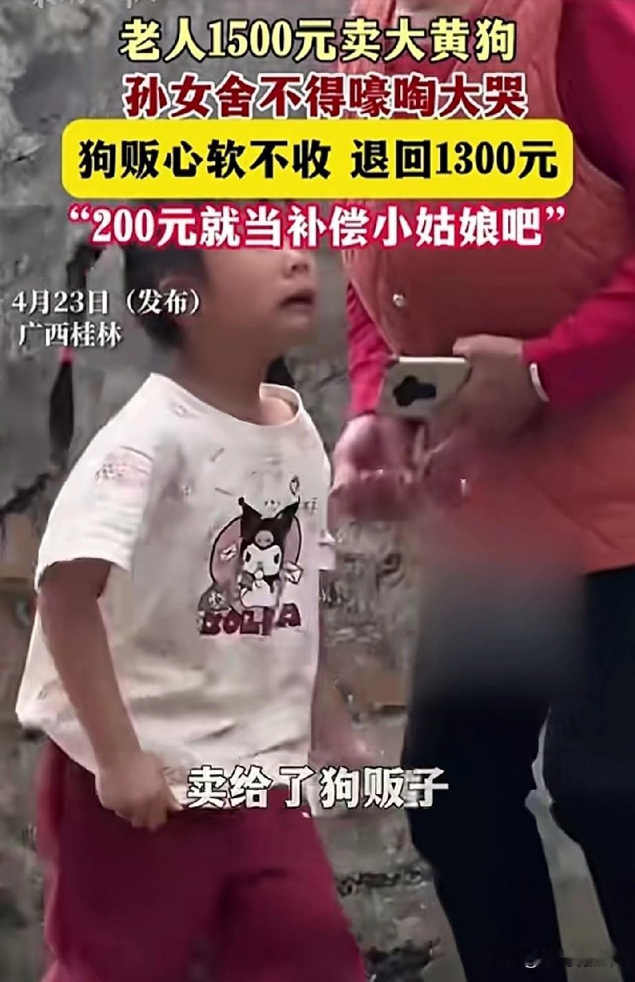 1500元的交易，被一声哭喊改写！广西桂林这场卖狗风波，让我们看到底层人的温柔与