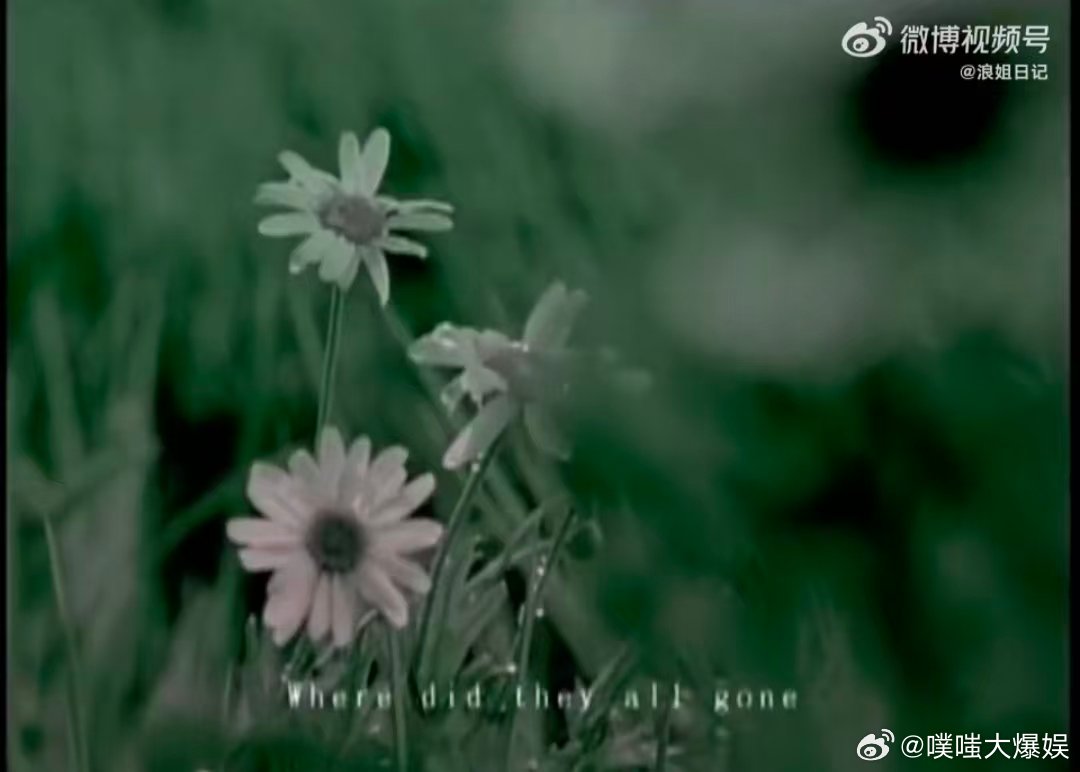 浪姐大合唱换歌了改成那些花儿乘风2026大合唱换歌了！《那些花儿》搭配一众姐姐，