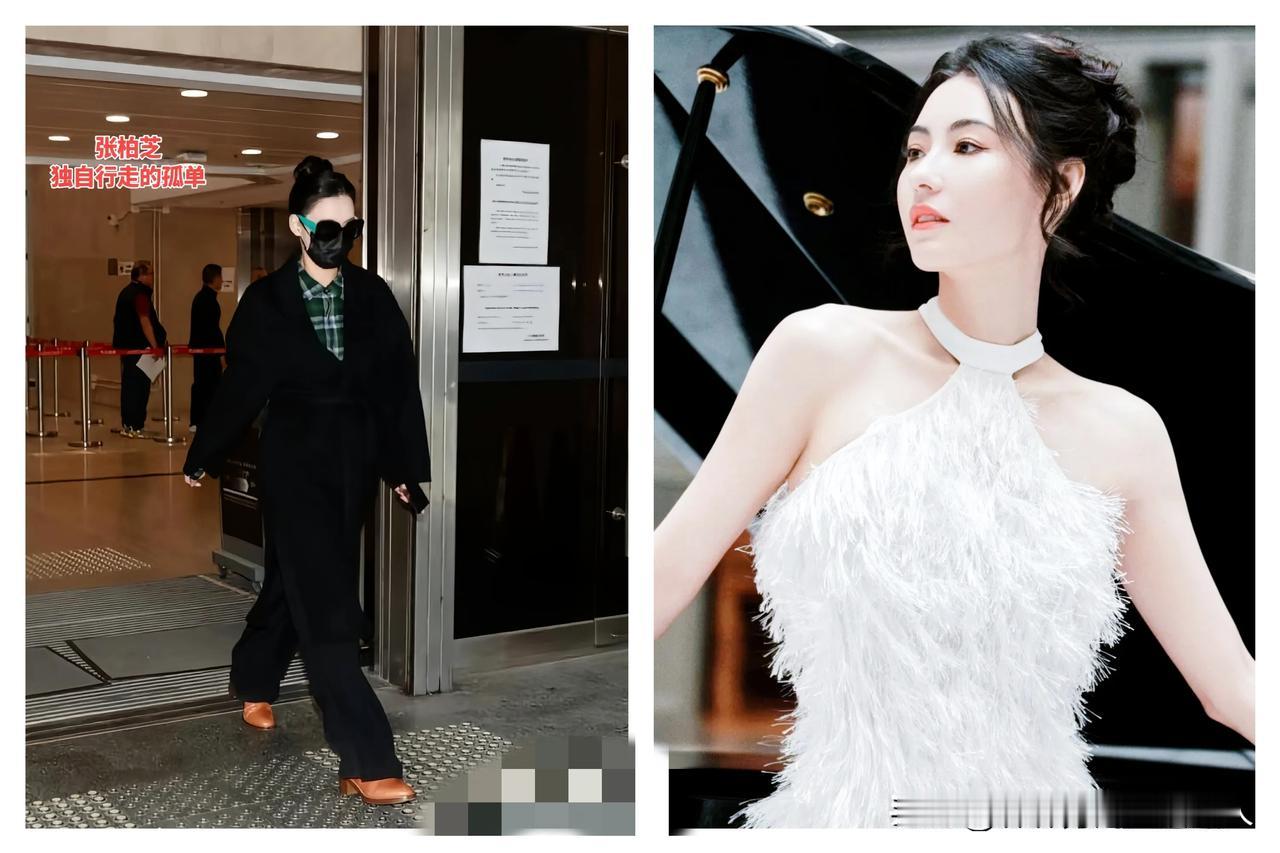 张柏芝遭起诉，
谢霆锋全程沉默！
18岁谢振轩怒砸手机：我立刻回国护妈！
谢振轩