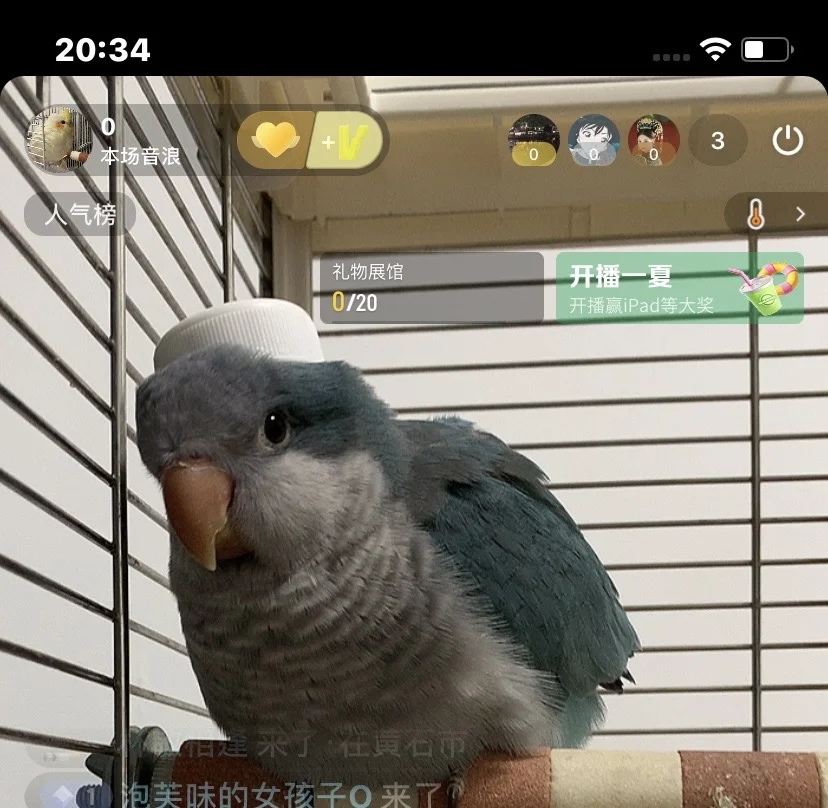 给ee们烤馕吃