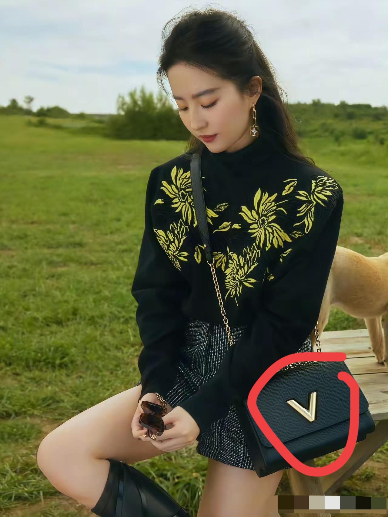 刘亦菲这个包是什么牌子的？
