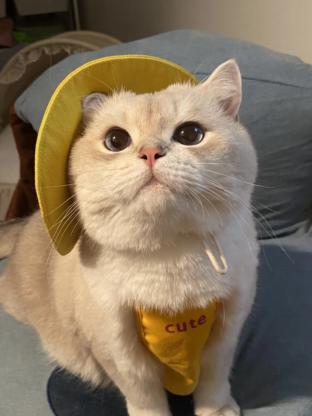 泥们嚎！