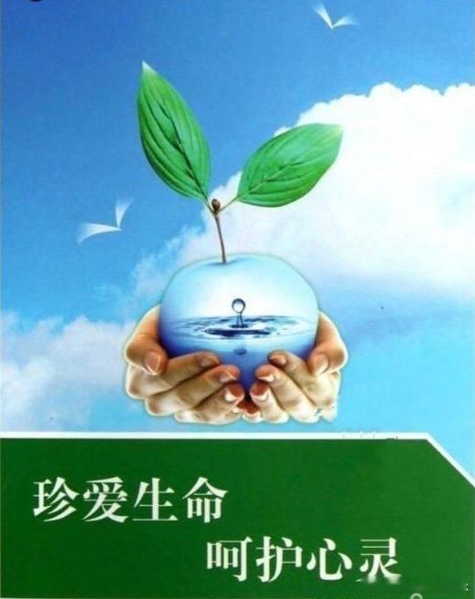 当我们沉浸在美好的生活中时，不要忘记那些生活在困难中的人。珍惜当下，并将爱与关怀