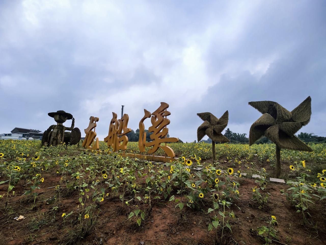 只要风景好，微雨又何妨？
今天上午有点小雨，道路比较湿，空气湿润，阴天不晒人，天