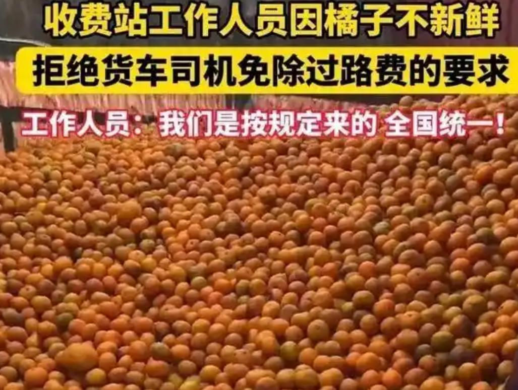 橘子有黑斑被拒过绿通：政策与人情，界限在哪？

一个橘子黑斑事件，让鲜活农产品运