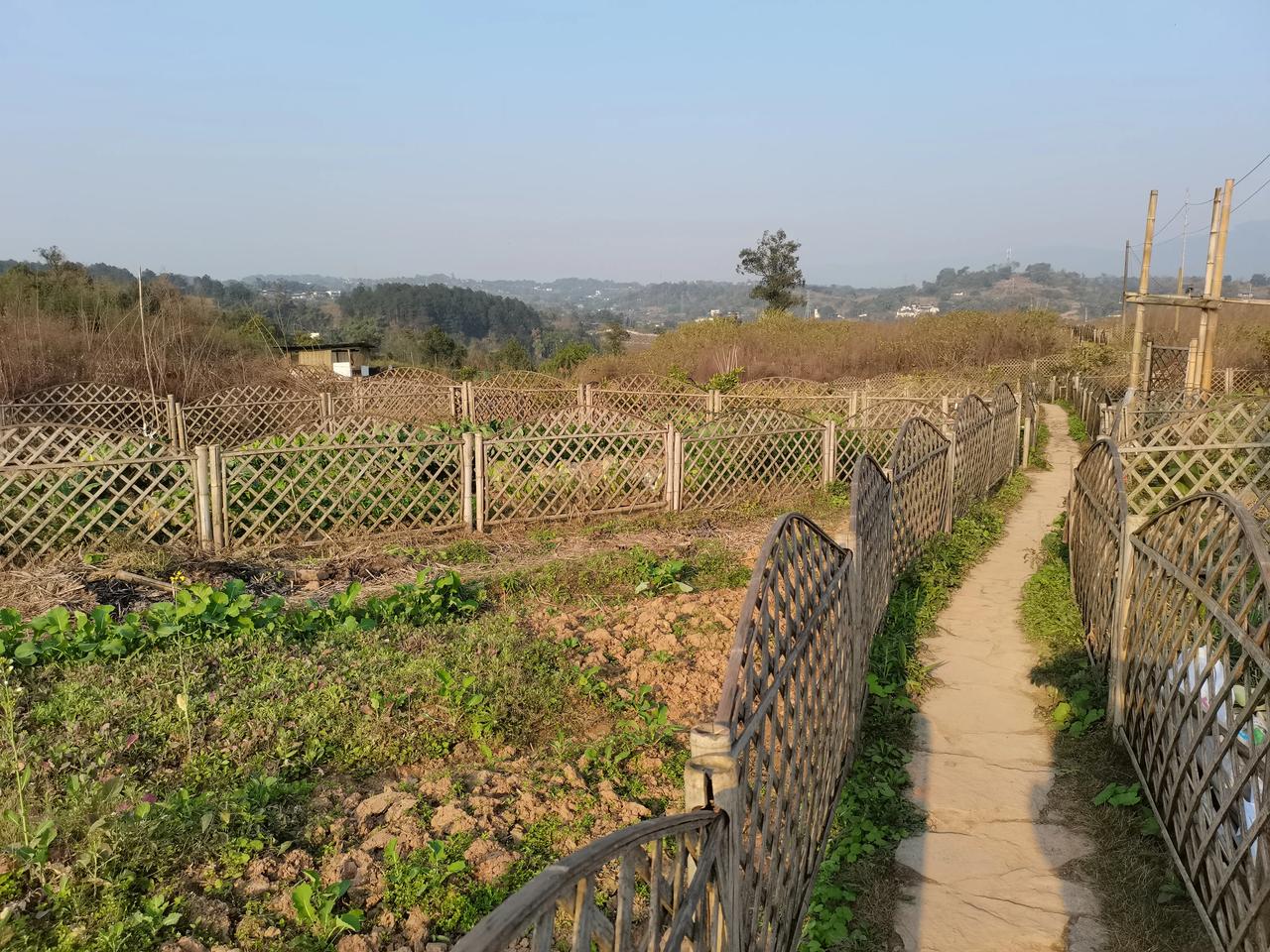 #春节假期第二天怎么过#今年重庆的大年初二阳光明媚、暖春如夏，公园、江边人织如潮