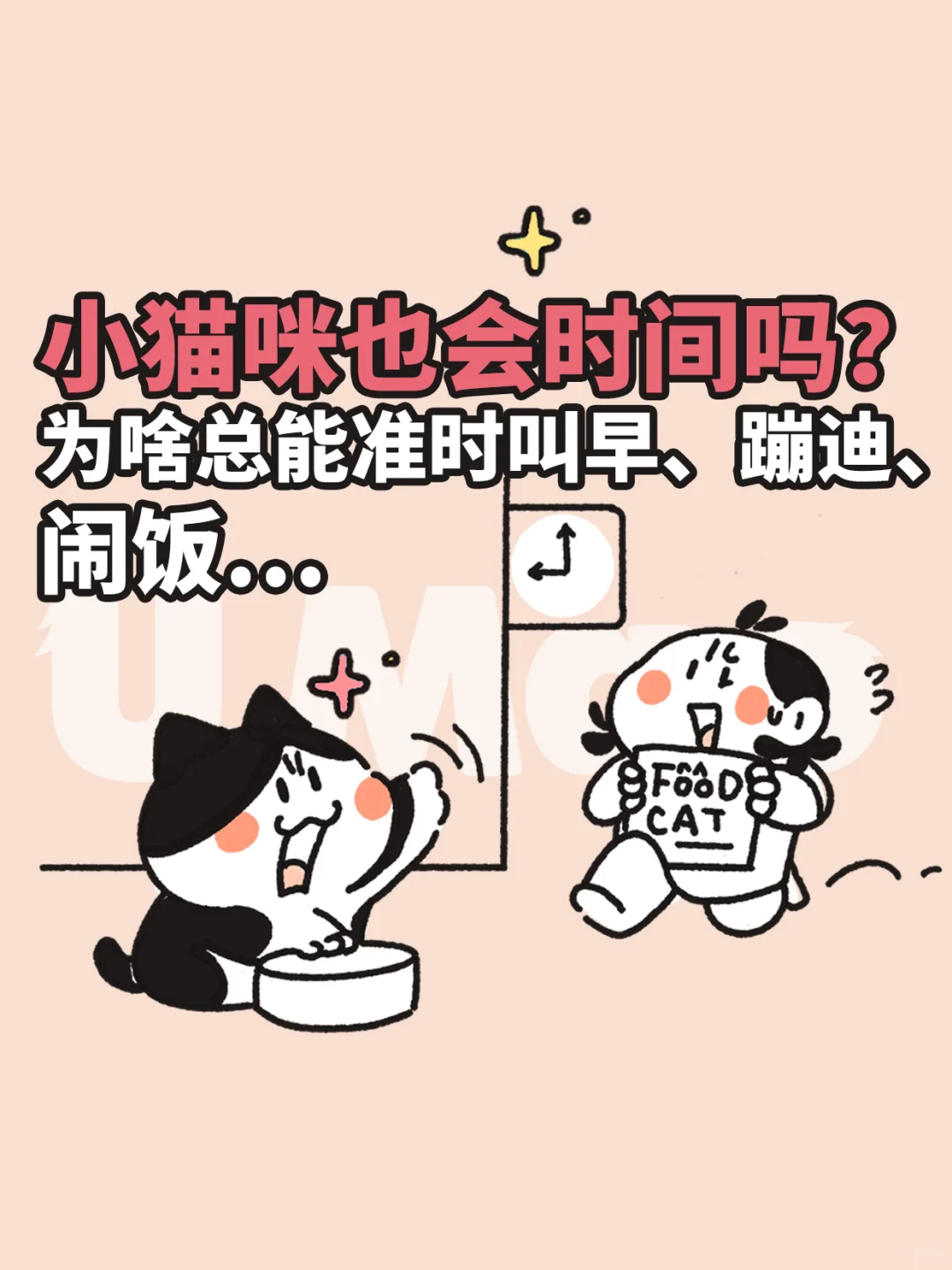 小猫咪也有时间观念吗？难道会看表？