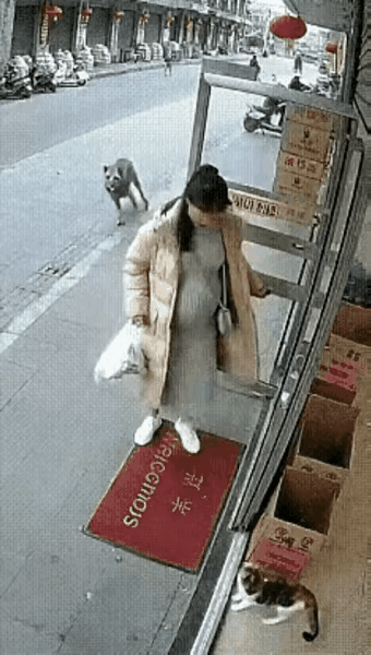 孕妇此时最好是到店里躲一下