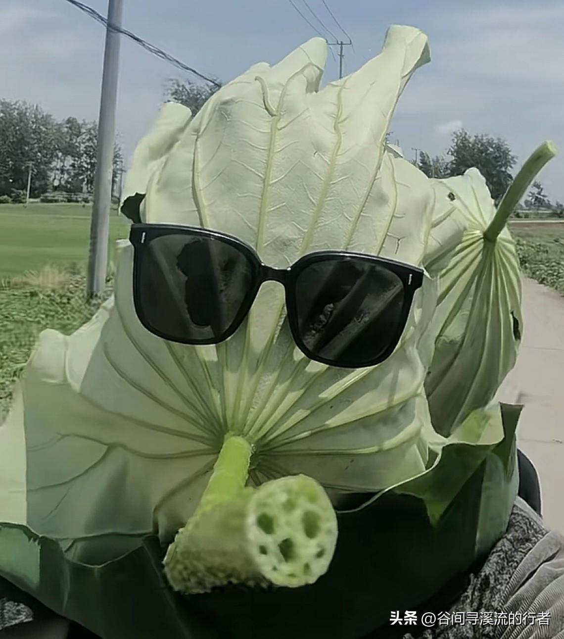 巴威没来湖北，却送了个“大火炉”！唯有湖北户外人才是最强王者！

台风绕道走，高