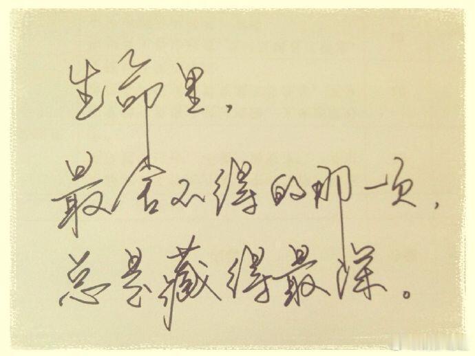很多人终其一生都在向外寻找慰藉，期盼有一个人能看懂自己所有的脆弱，能接住自己所有