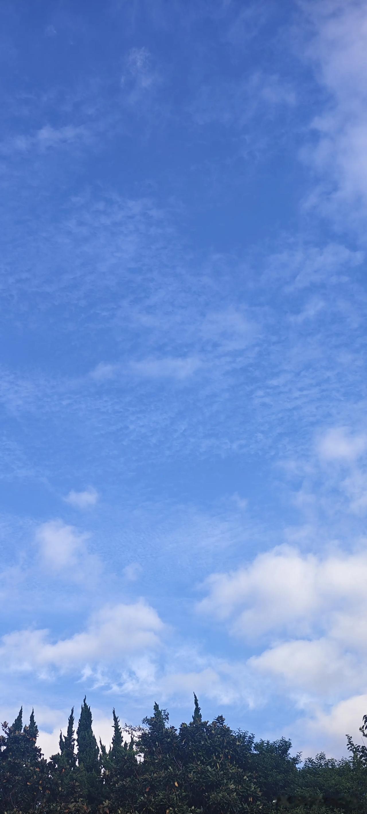 今早上海湛蓝的天空。抬头看到这样的天空，可以治愈一切不开心
