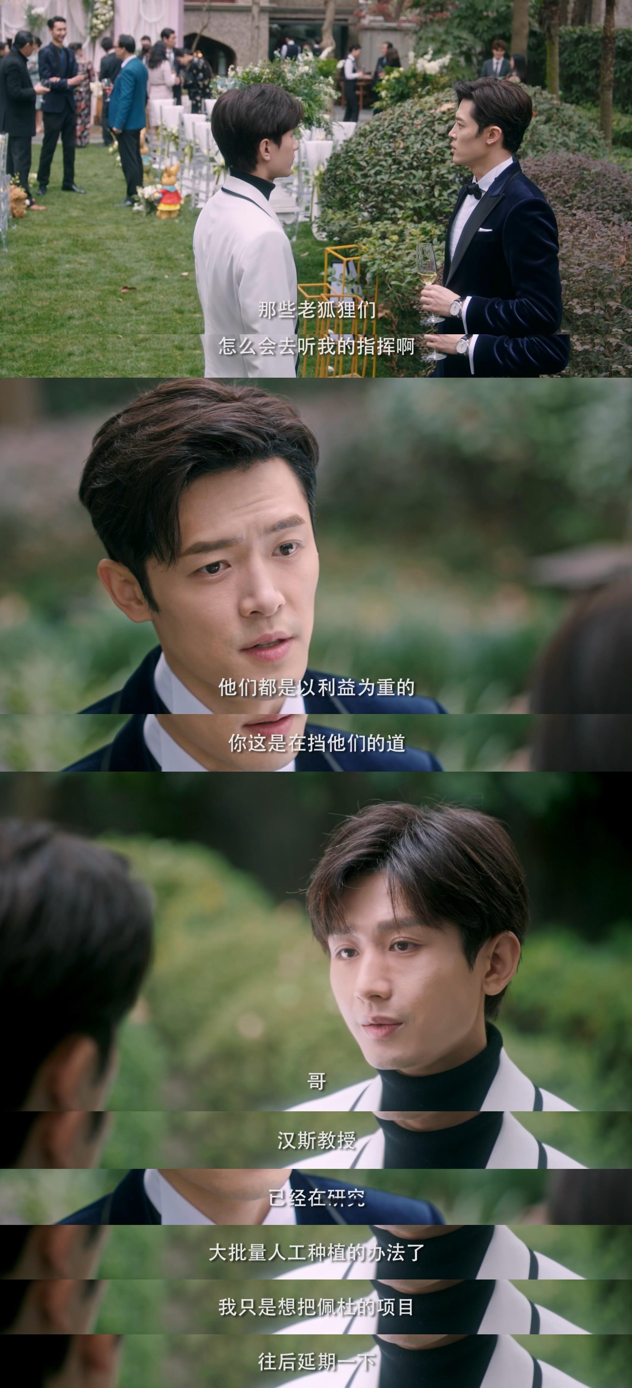 #成毅付辛博剧里剧外反差#笑发财了！怎么还有这样的吵架的名场面，两个人的南风知我