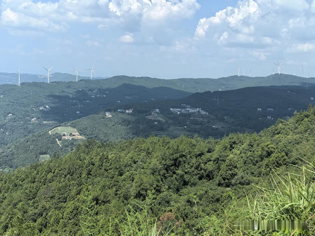 妈给我打来电话时，我正在店子上忙，前一周我刚从几百公里的老家看老妈回来，忙问妈有