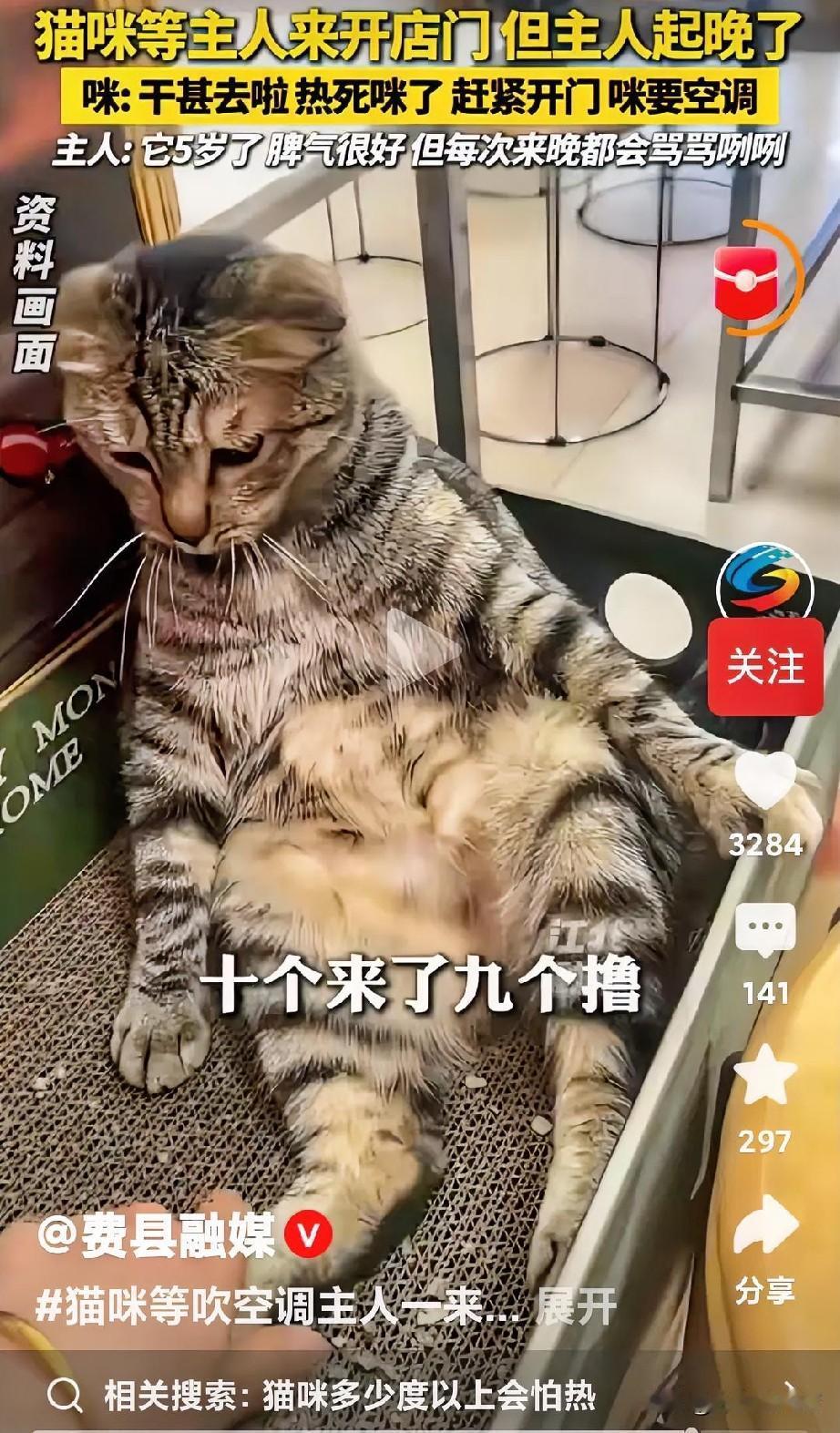 主人来晚就骂骂咧咧                               