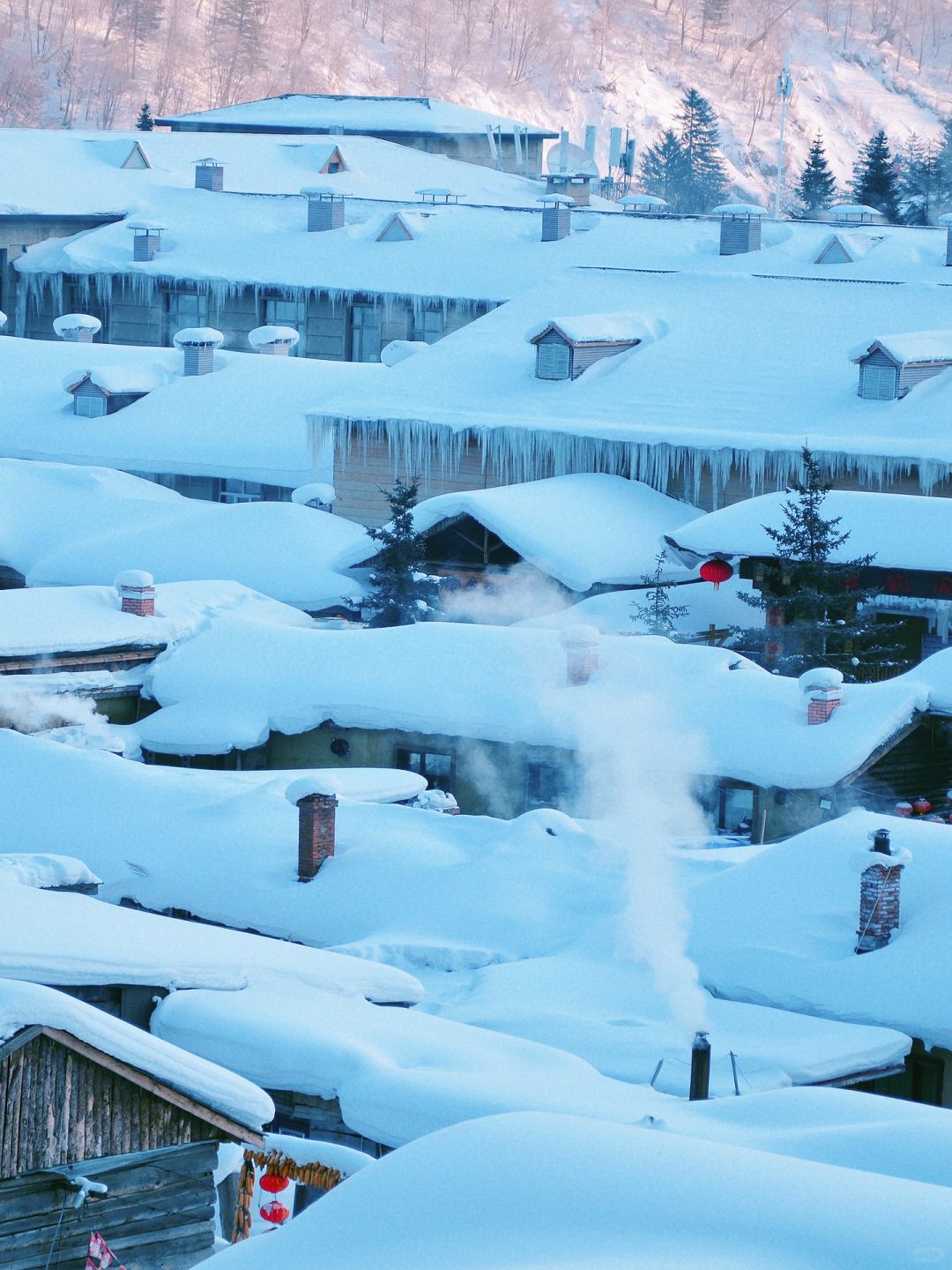 哈尔滨到雪乡有直通车了！竟然还有人不知道