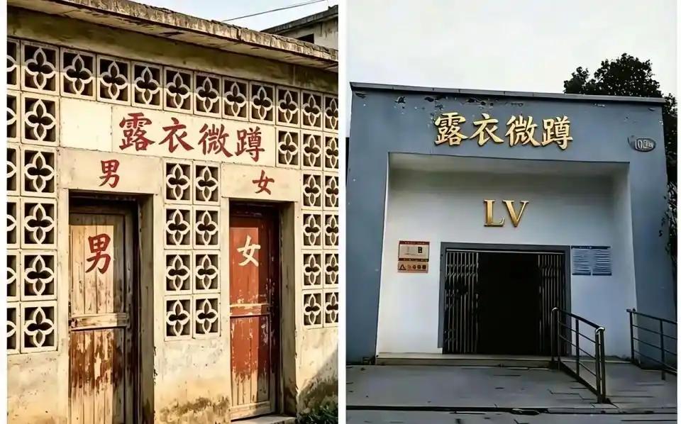 近五年，LV在中国发起了1691场商标诉讼，严重打击了本土小微企业，影响社会经济