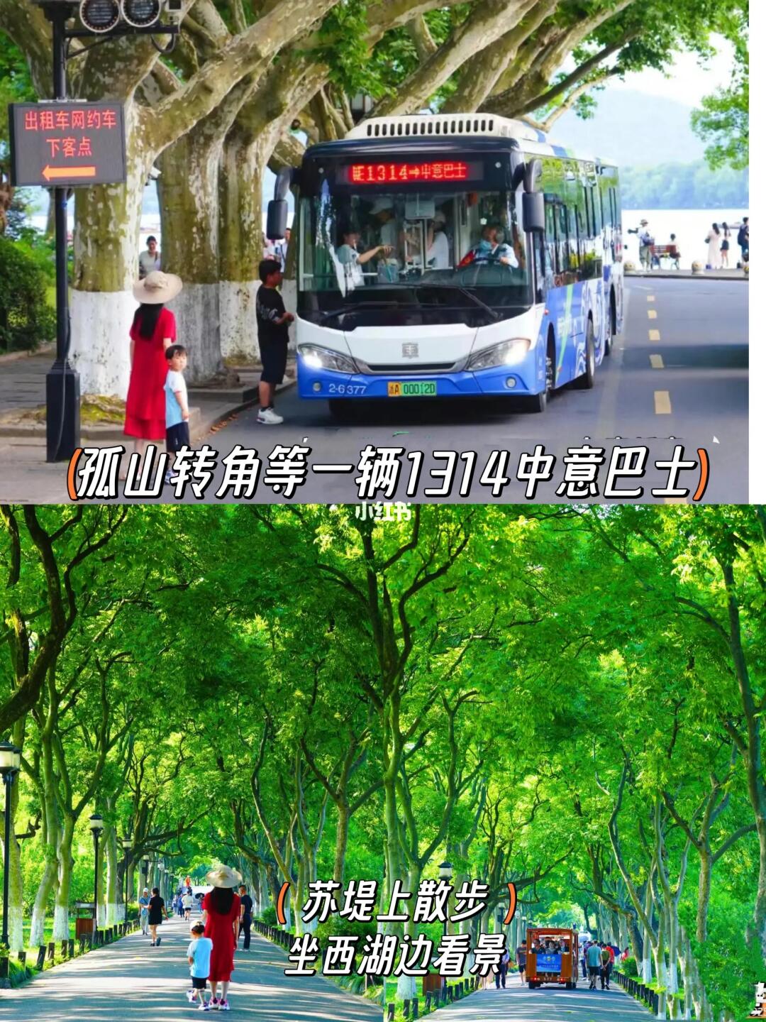 游杭州 不累的西湖溜娃+懒人吃喝攻略