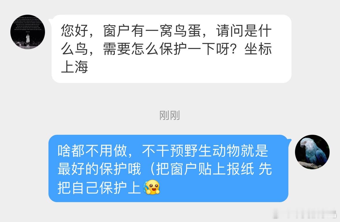 人见人爱的乌鸫[开学季]该怎么保护，小天才快给出出主意！ ​​​