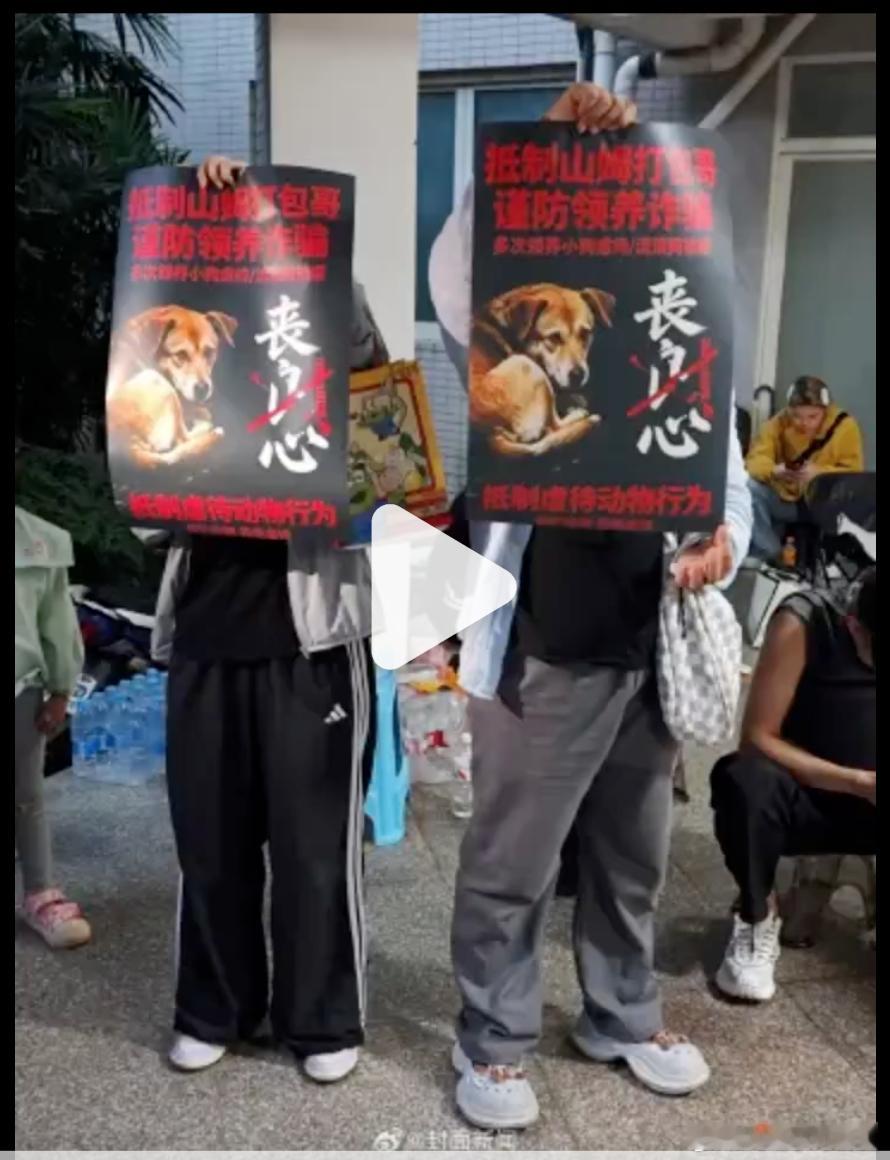 敢打包票，这群人晚上回到家凭良心大吃一斤动物肉盼反虐待动物法早日落地
