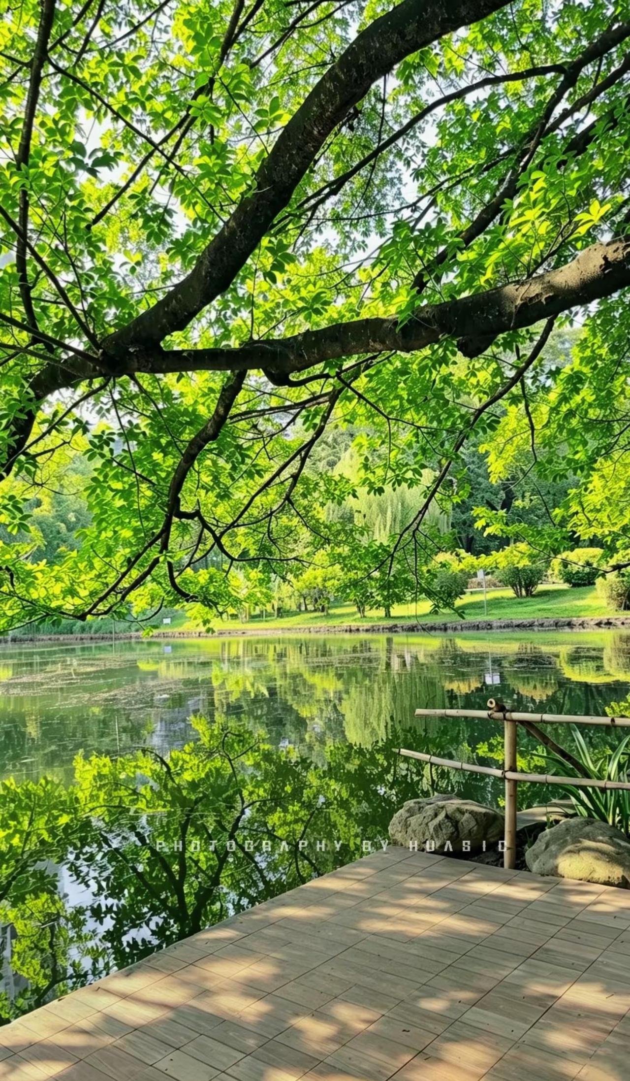 西湖众有千般美。抵不过你的一滩水广州 广州旅拍 晓港公园 广州旅游