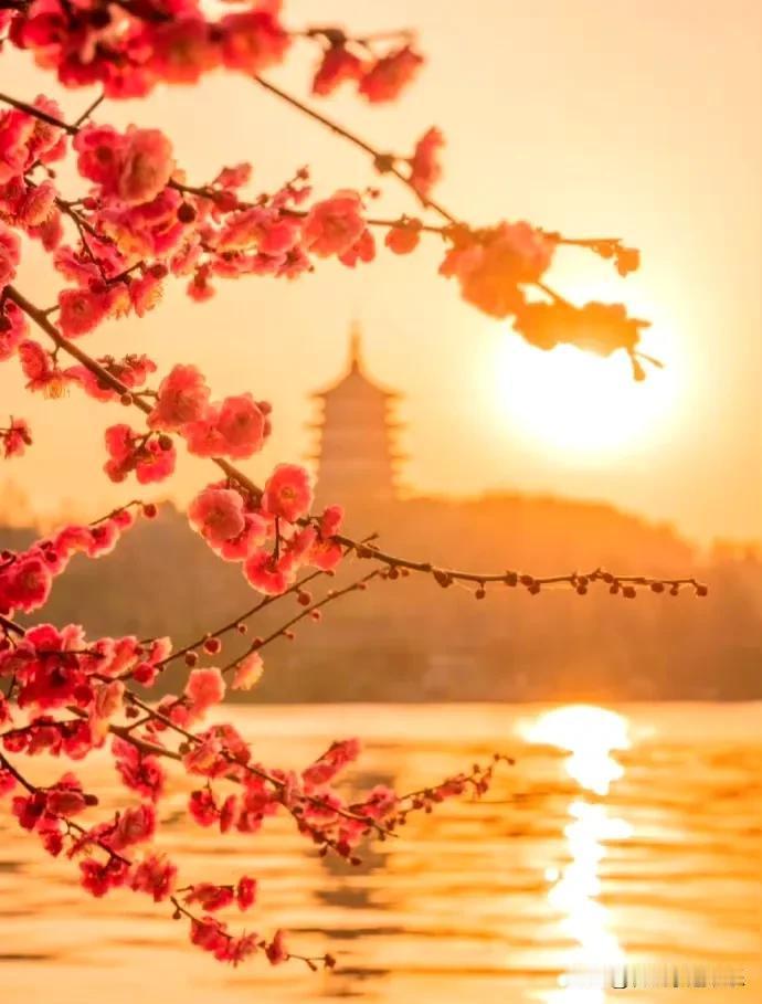黄昏时分，夕阳倾洒余晖，像是给世界披上一层暖金色的纱衣。

所到之处，花朵被染上