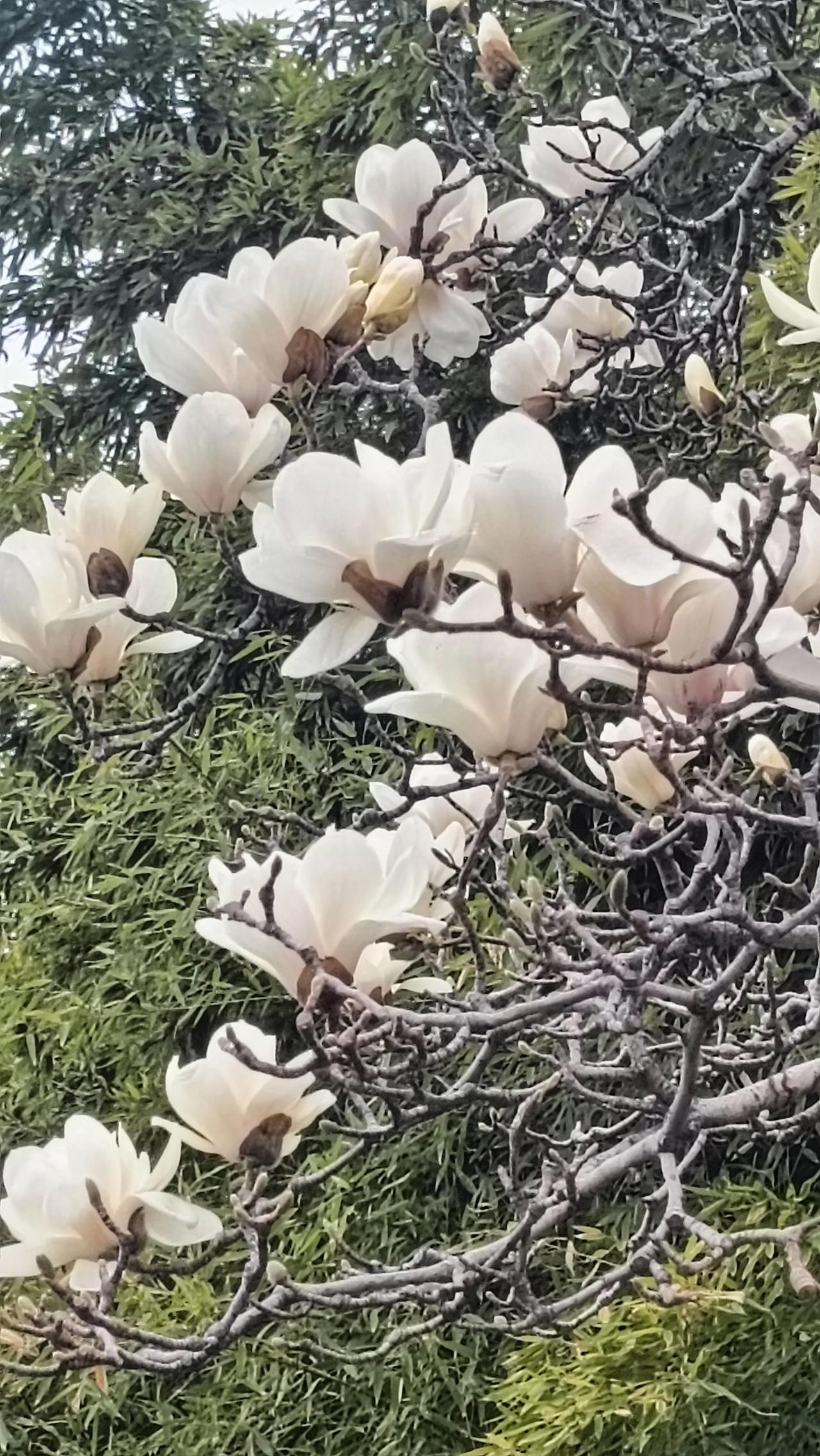 春雨迎客万水近。