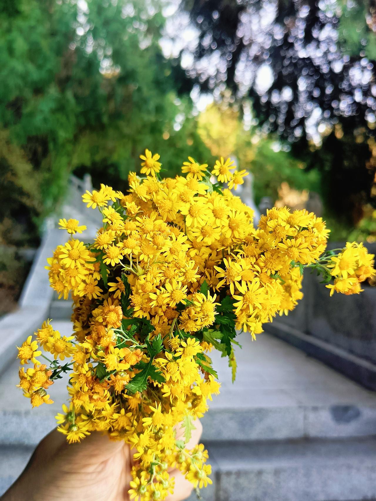 晚安，全世界！明天又是新的一天！