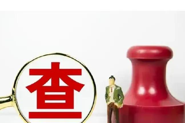 刘备被查，张飞被查，赵云被查，徐庶也被查，就问你关羽怕不怕？反正诸葛亮是不怕的，