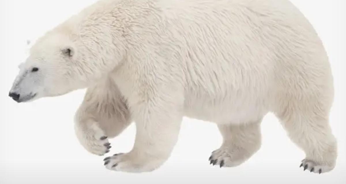 俄乌战争打了将近四年，国际关系发生了翻天覆地的变化。美国和欧洲、乌克兰、俄罗斯的