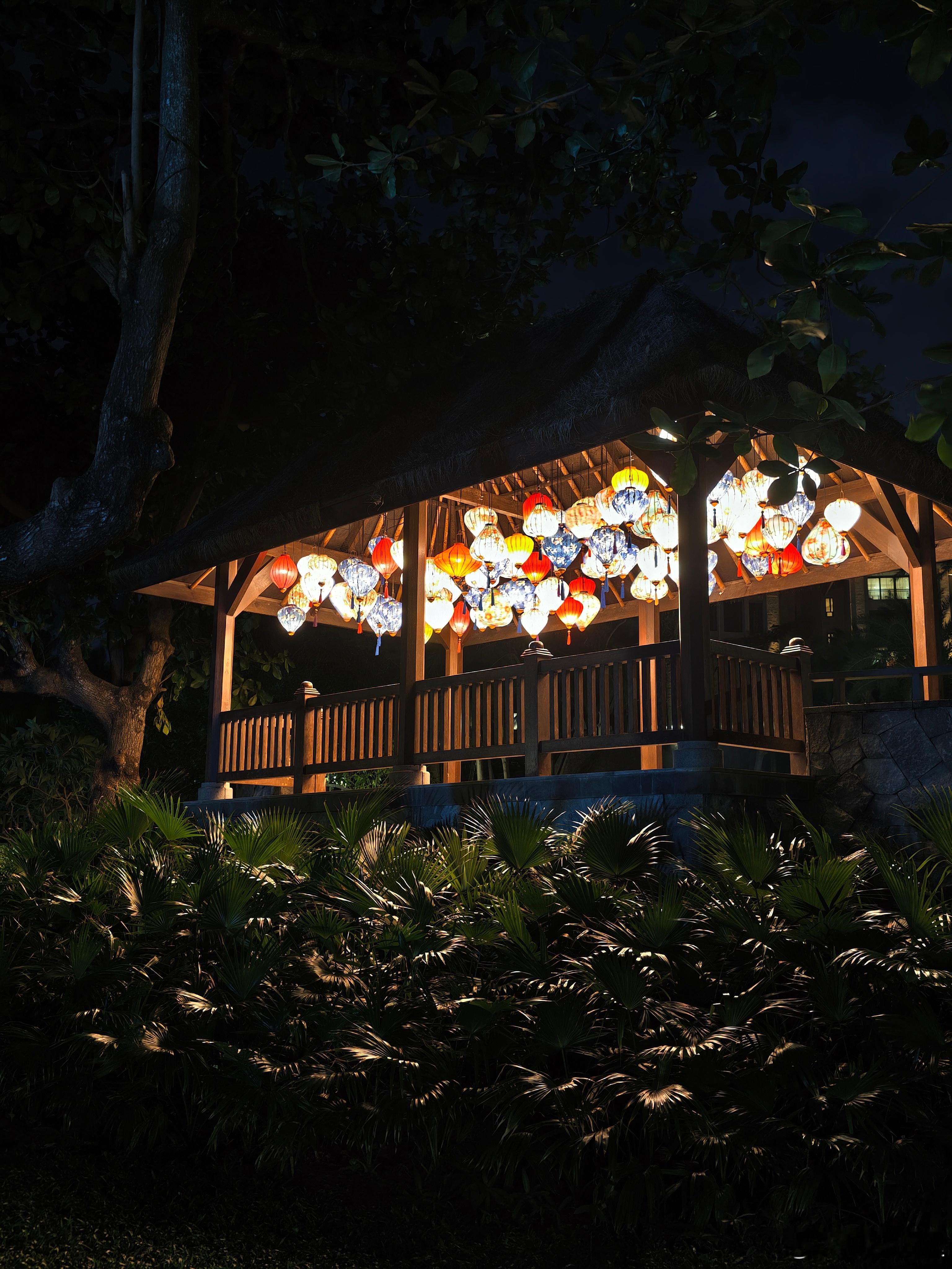 早安，这一屋繁花，或许代表着物理AI的未来，跳脱数字，进入现实。 ​​​