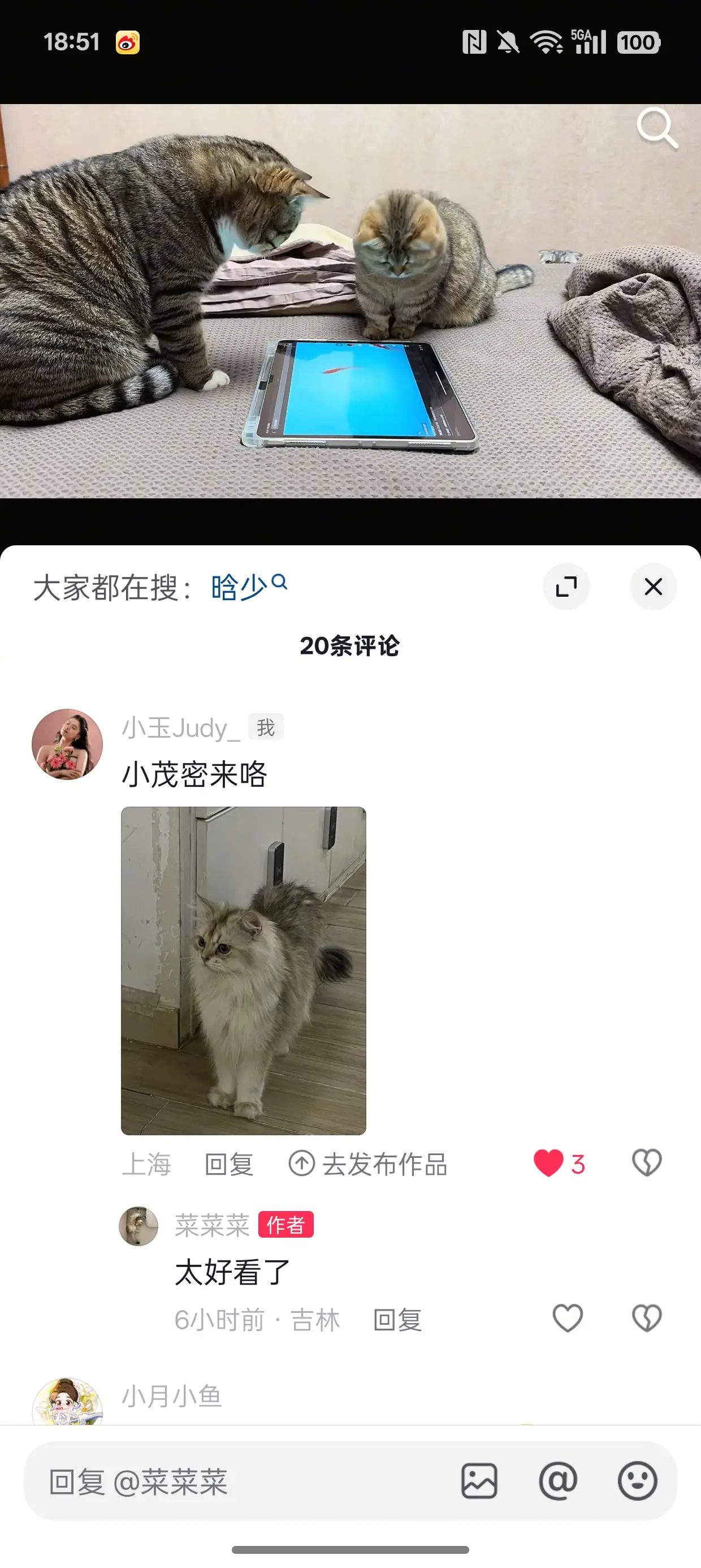 官宣啦官宣啦。第二次被回复