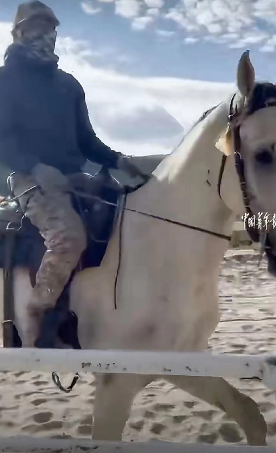 看到条视频，真的被触动到了。

云南的丁力大哥，三年前在屠宰场看到匹白马，瘦得皮