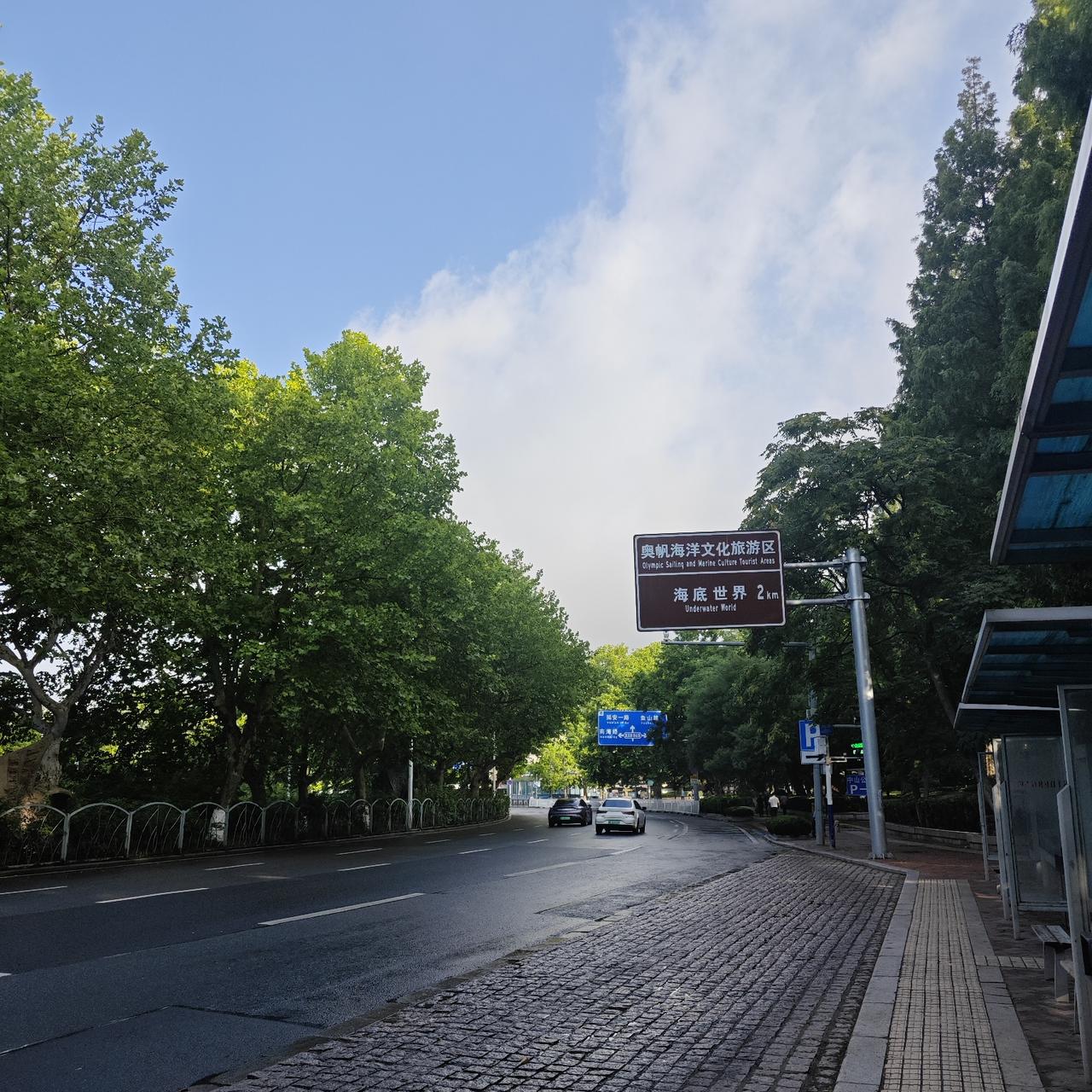 出门后，看到地下到处都是湿漉漉的，有些地方还积攒了不少的雨水。
出行也是漫无目的