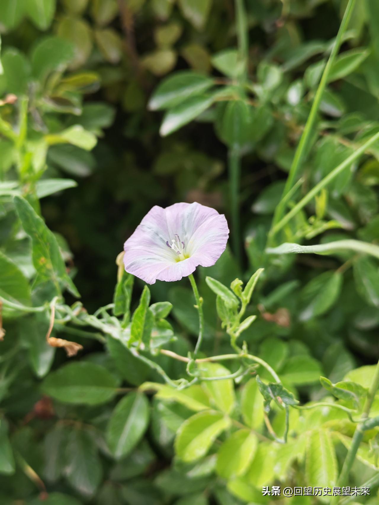 夏日生活打卡季
