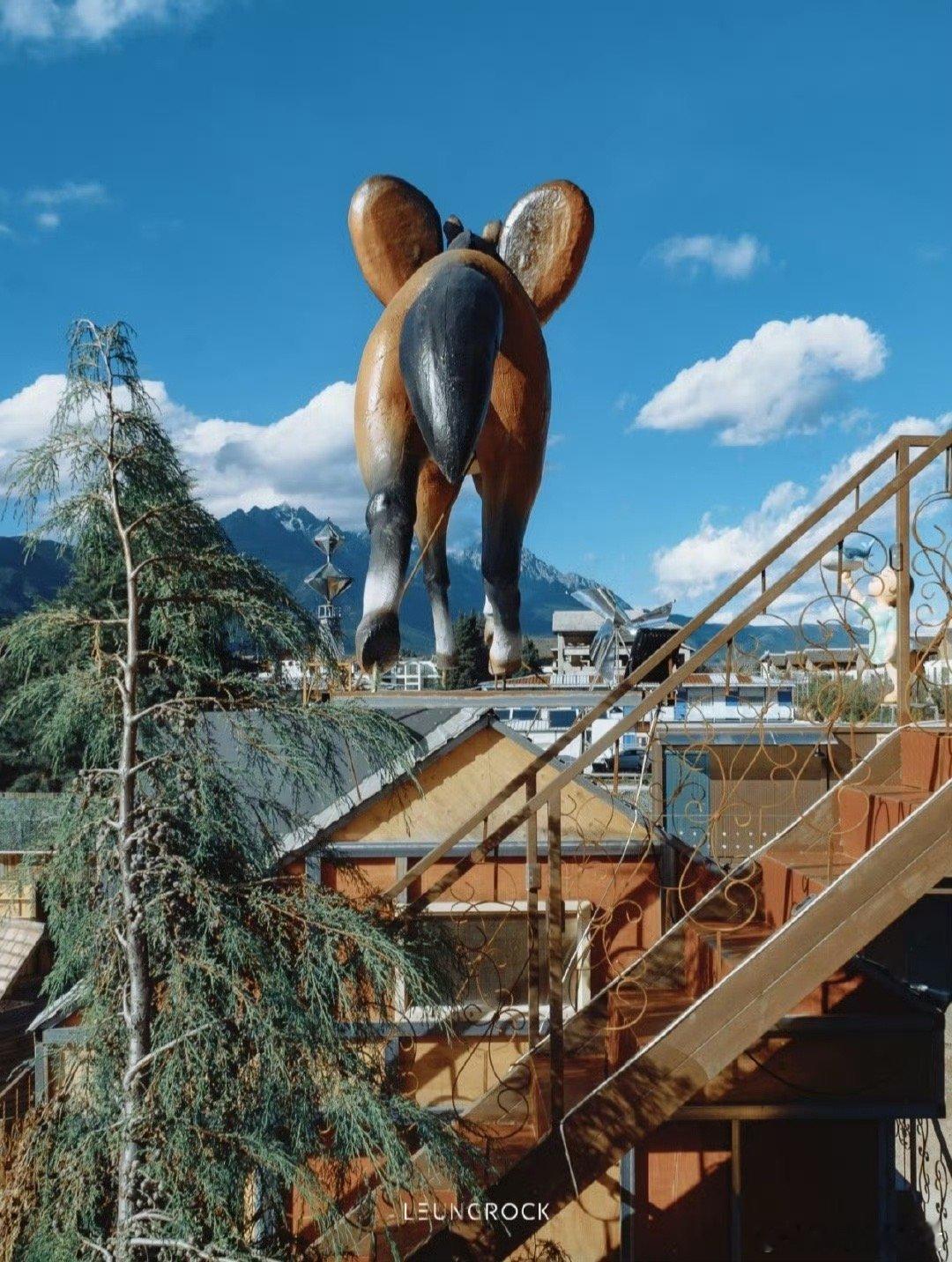 快乐老友有风季 风把思念吹成奔赴的约定，老友相聚无需多言，坐在一起就把时光聊暖。