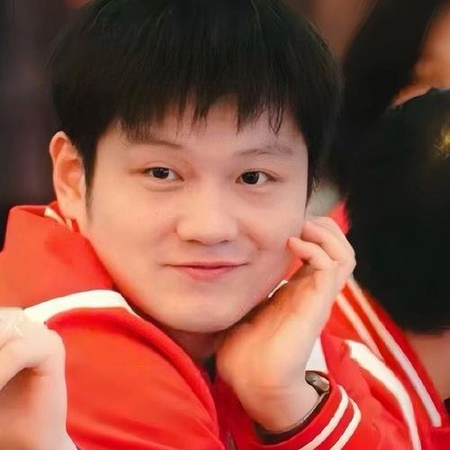 竞技成就与实力认可  • 樊振东以其卓越的乒乓球技艺，在国内外大赛中屡获佳绩，展