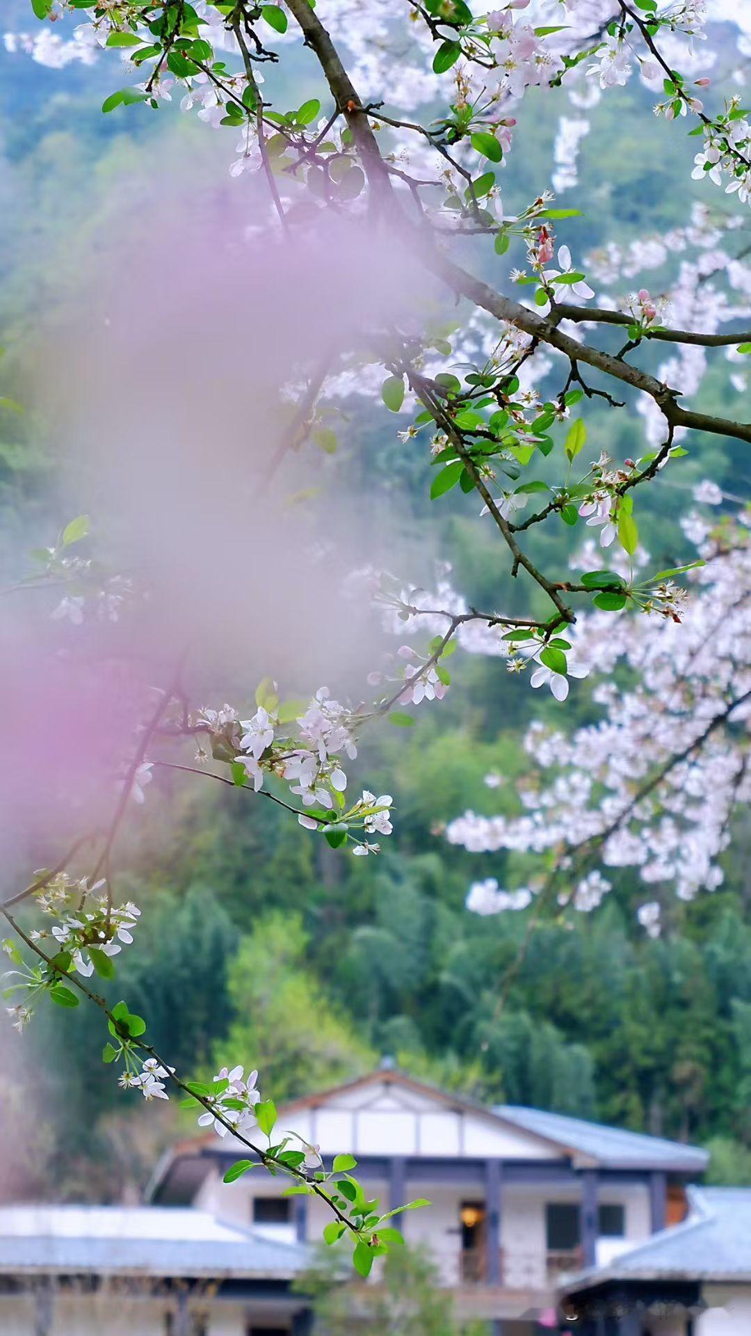 我认识一个女人，40岁才结婚生孩子，现在一样过得很幸福。

女人是我老家村里的，
