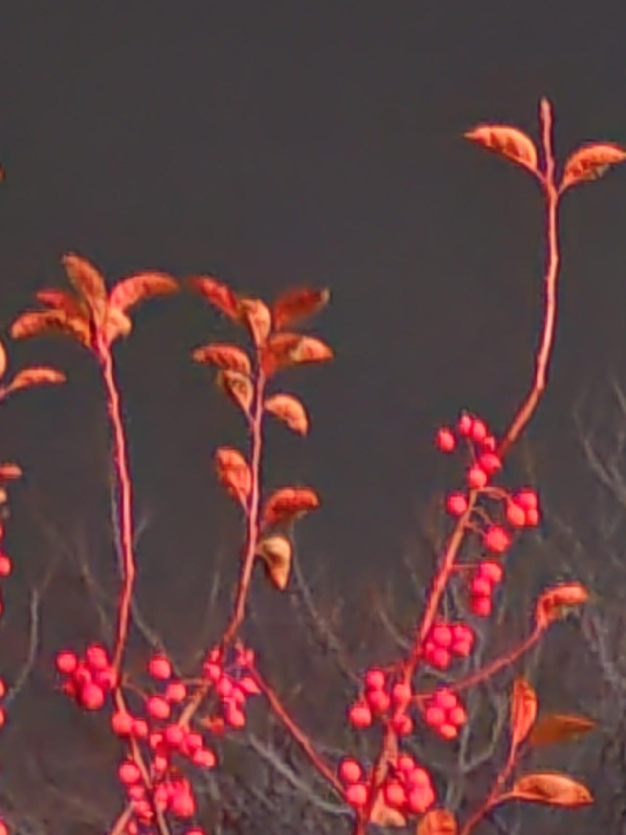 这个要求不过分。姓名就是个符号，叫什么都一样。你象人家爱新觉罗家的清朝灭亡后不是