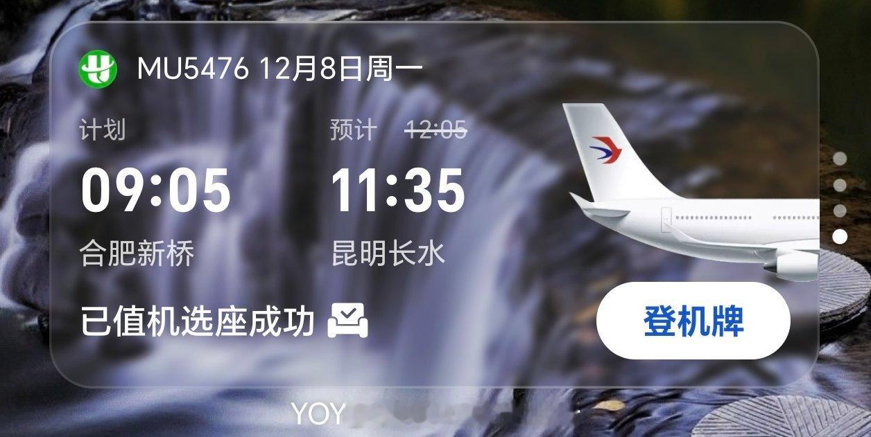 早鸭！生活服务这块儿，还得是荣耀YOYO，忒好用了