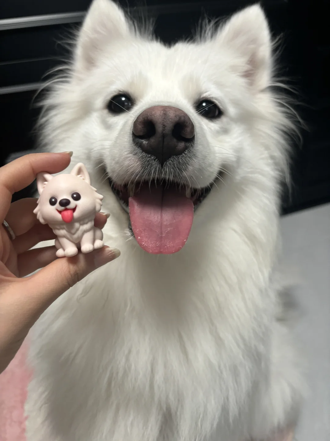 狗狗我呀 也有小手办喽