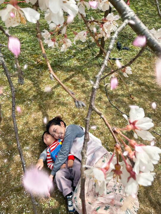 京都遛娃赏樱🌸｜ 妈妈在樱花树下说爱你❤️