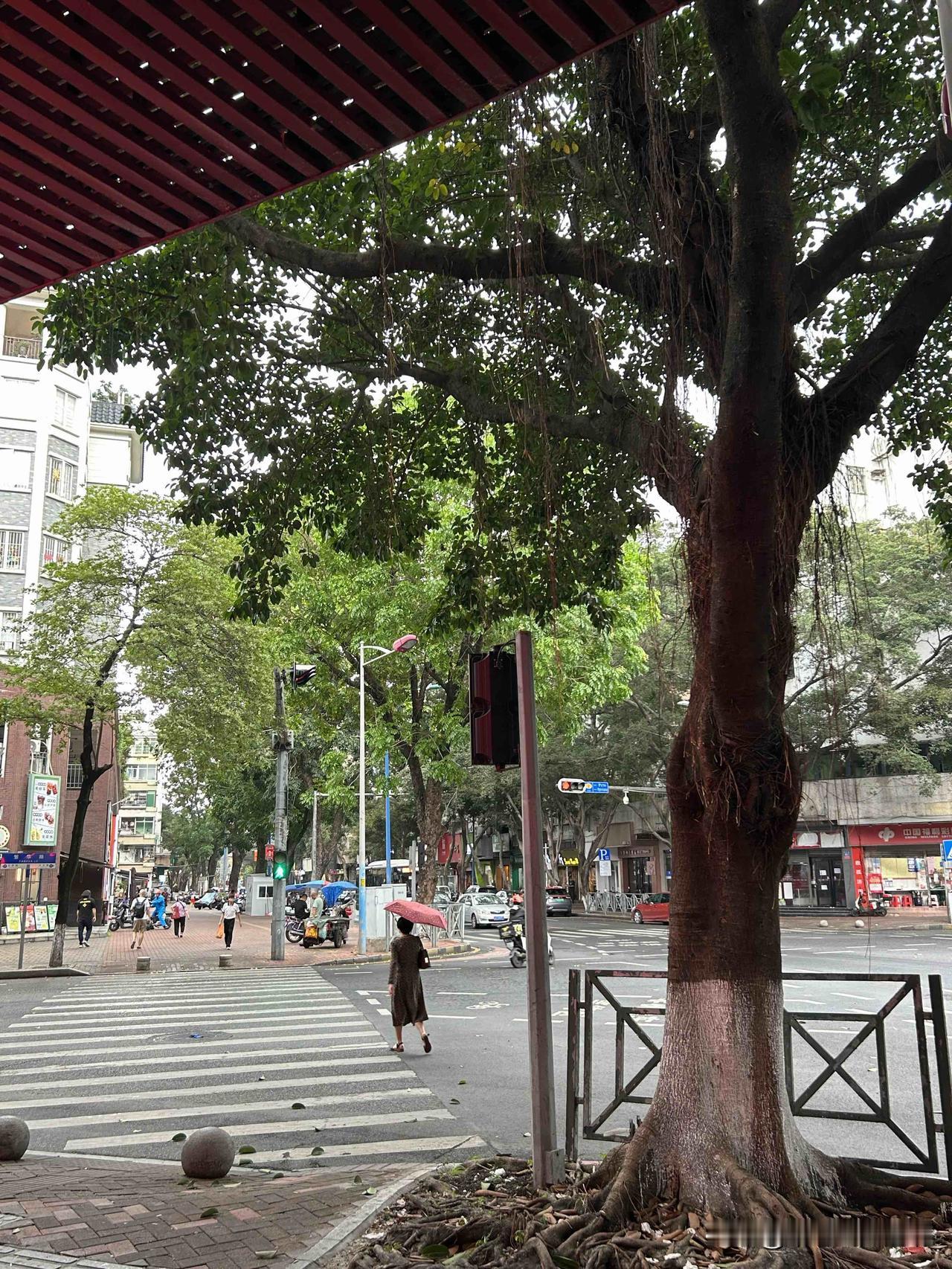 城市里的老城区也几乎全是老年人啊！

不知道大家有没有发现？现在只要走进老城区，