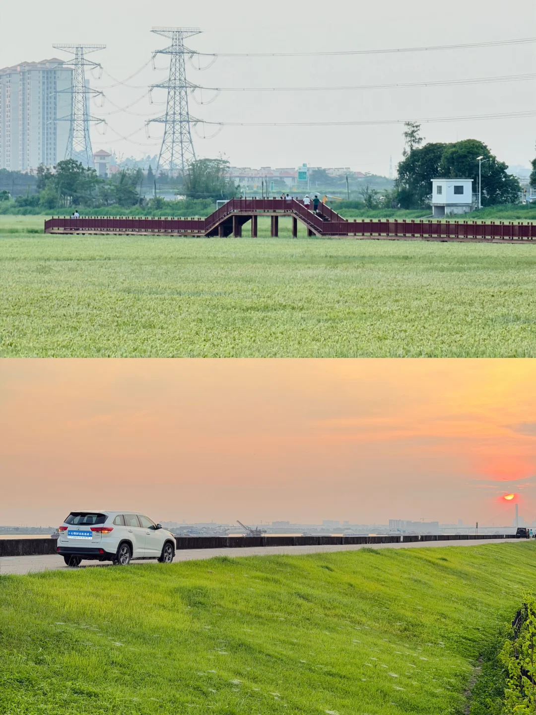 📍广州在江边的水稻🌾公园，又一休闲好去处