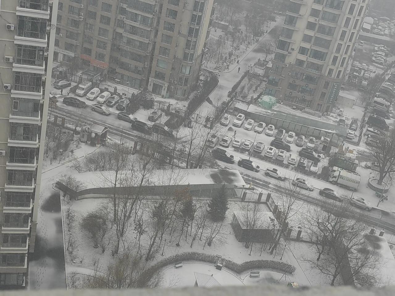 下雪了，立冬以来的第一场雪。雾蒙蒙，白茫茫。给这浮躁的城市，  带来了朦胧的浪漫