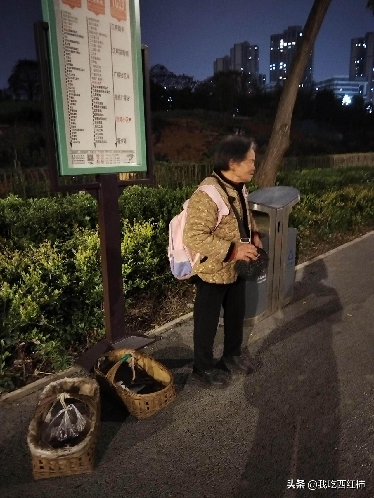 夜幕下的卖草莓老奶奶
在成都像这样七八十岁还挑着担子或背着背篓从农村坐公交来市里