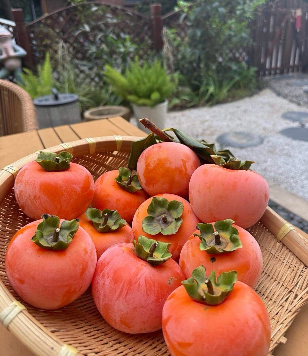 早上好！ ​​​