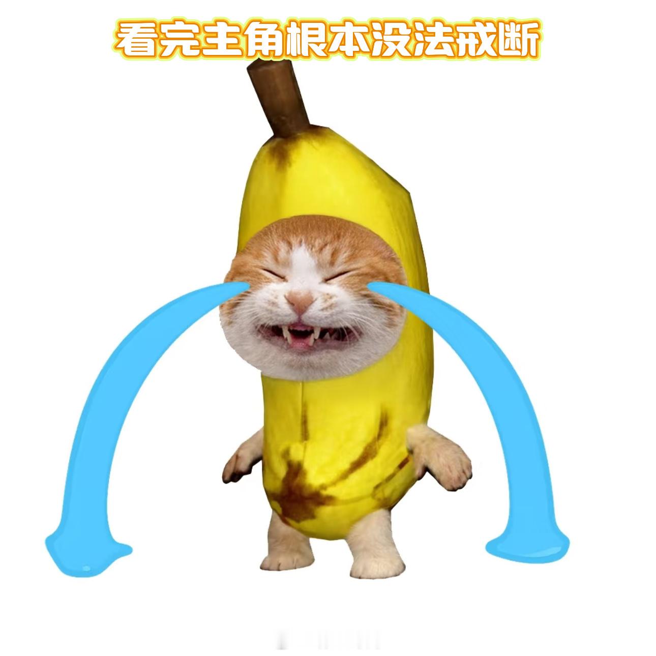 主角戒断反应 看到最后我一直哭